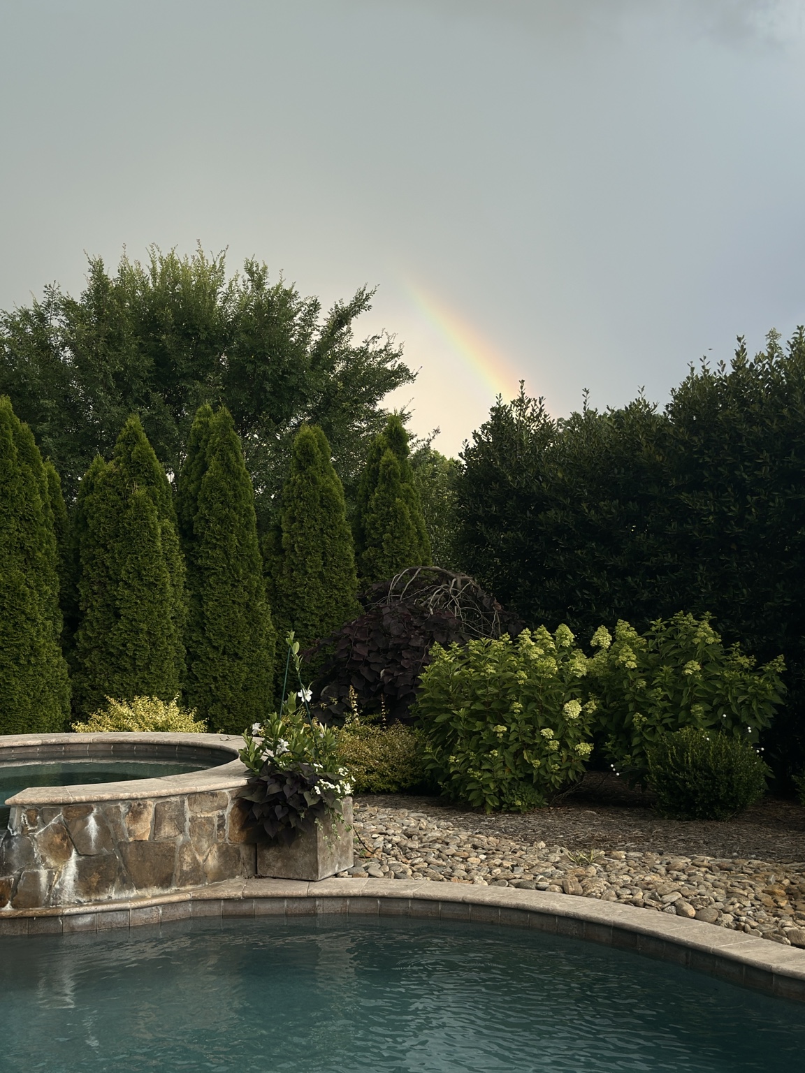 Finished landscape planting surrounding a pool and hardscape