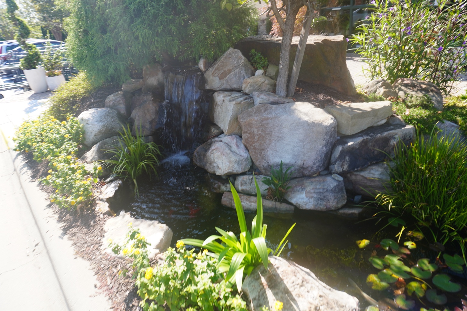 Landscaped rock water feature and pond