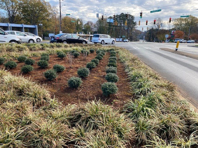 Commercial streetscape landscaping featuring coordinated shrub and ornamental grass installation.