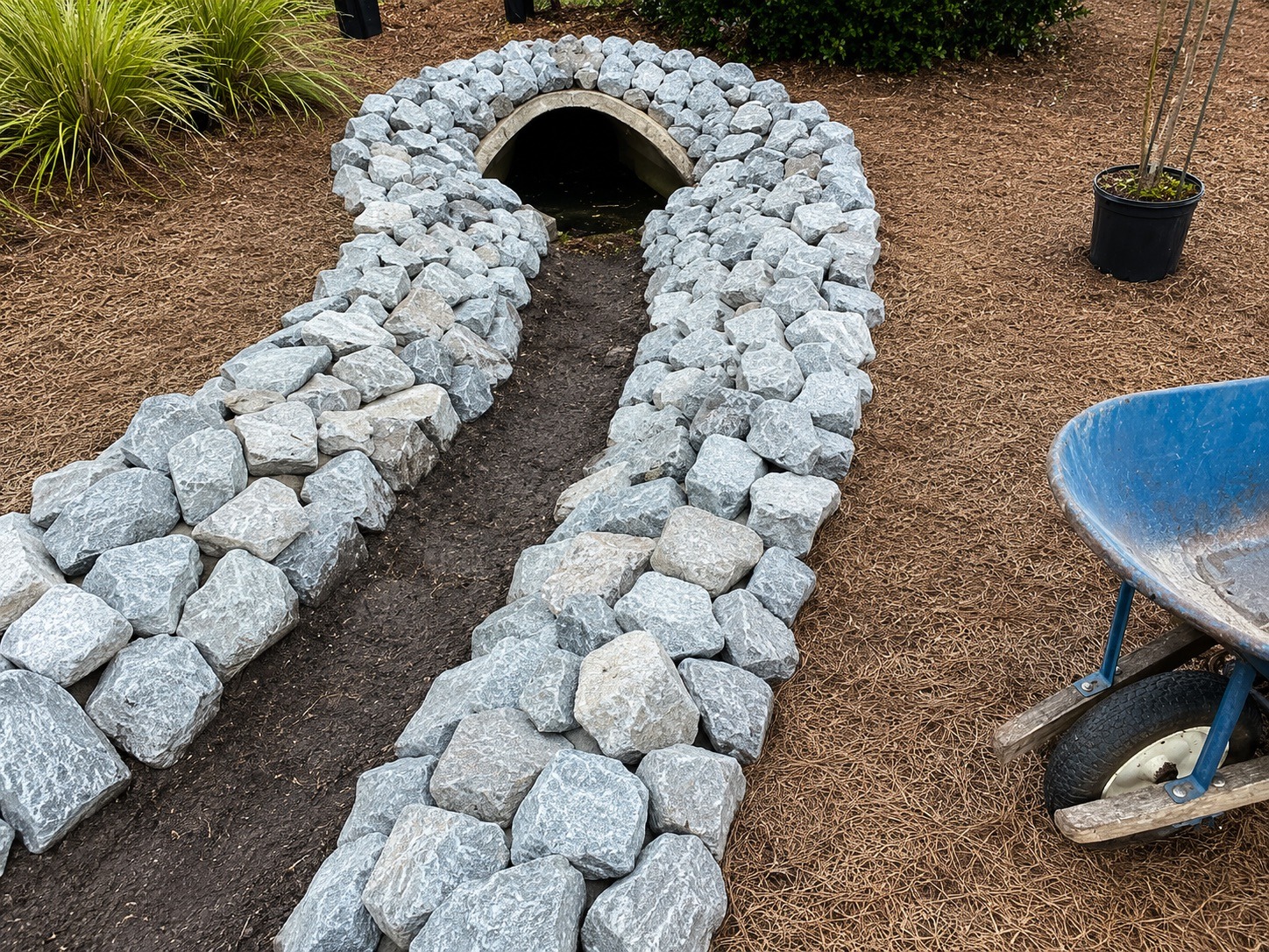 Shrub layout in progress with plant material staged for spacing, placement and installation.