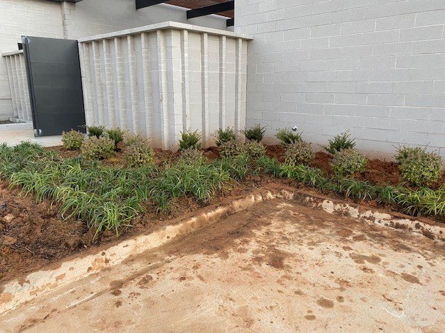 Courtyard Planting Bed Finish before