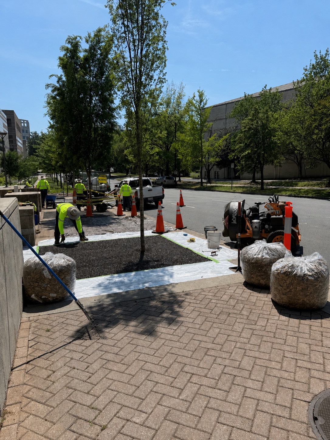 Capital improvement landscape installation in progress with crews preparing tree beds along a city street.