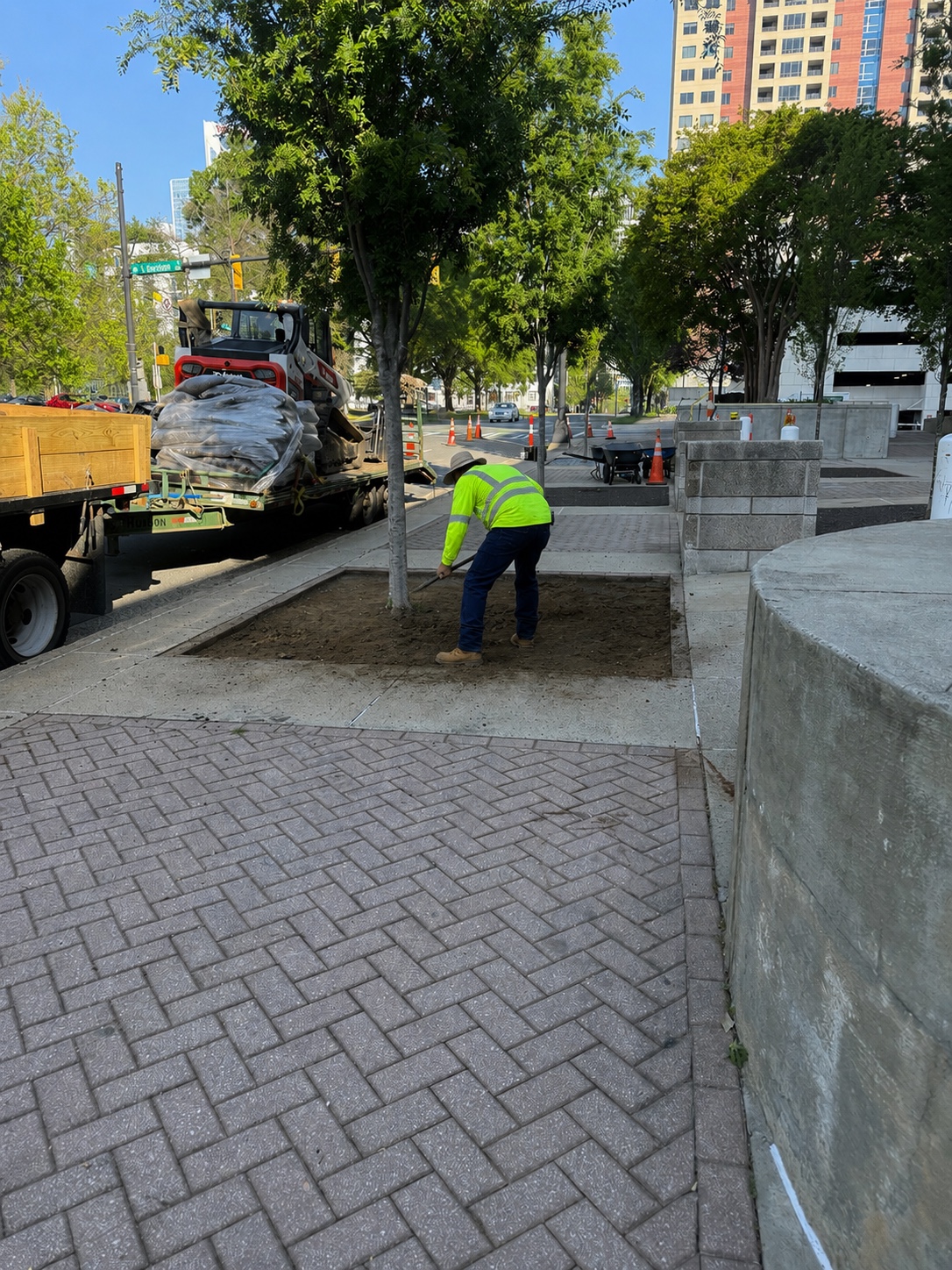 Crew member preparing a tree bed as part of urban streetscape improvements.