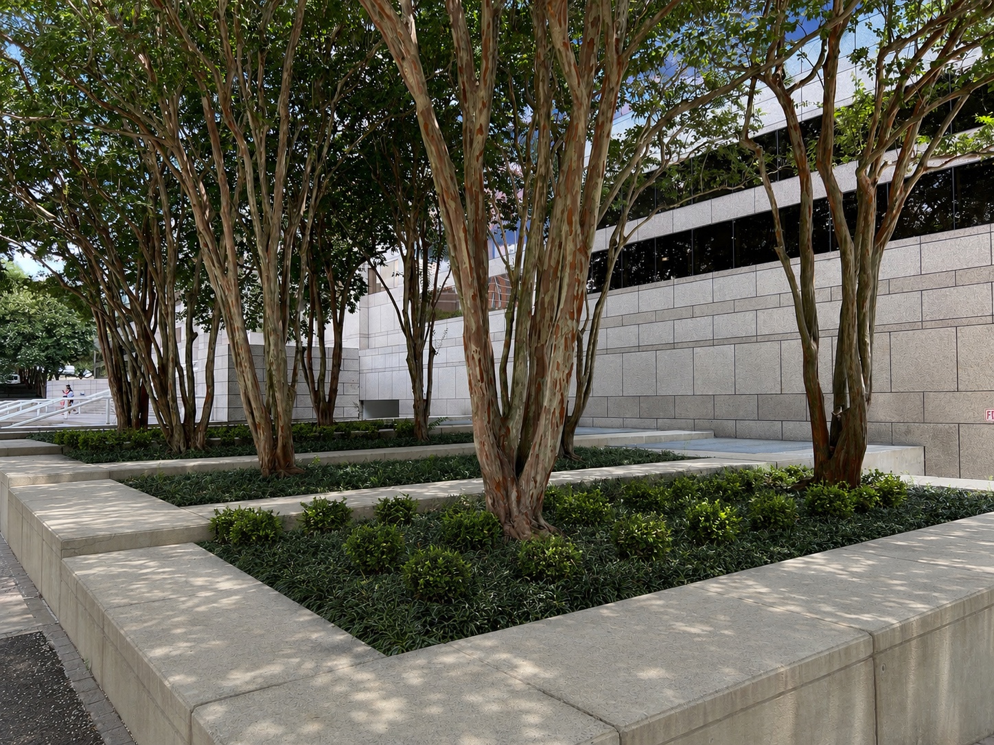 Structured civic planting beds and tree planters installed to create a clean, organized public landscape.