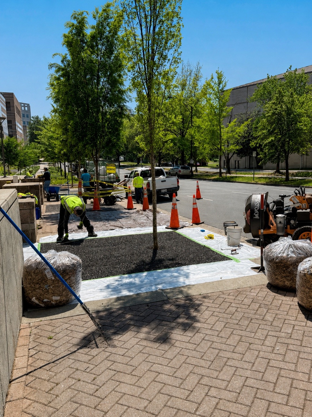 City of Charlotte Capital Improvement Project streetscape work in progress