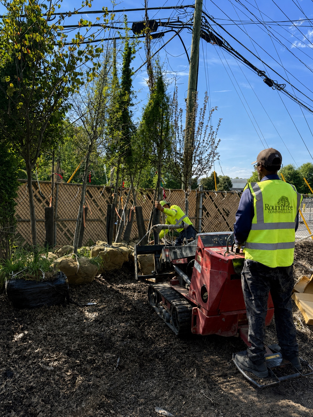 Roundtree crew installing trees and coordinating site work in the field