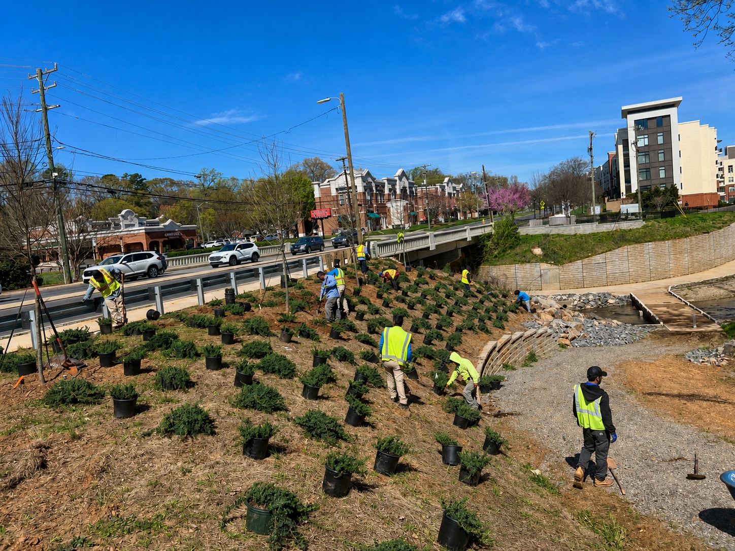 Roundtree crew completing coordinated commercial planting installation on a sloped site.