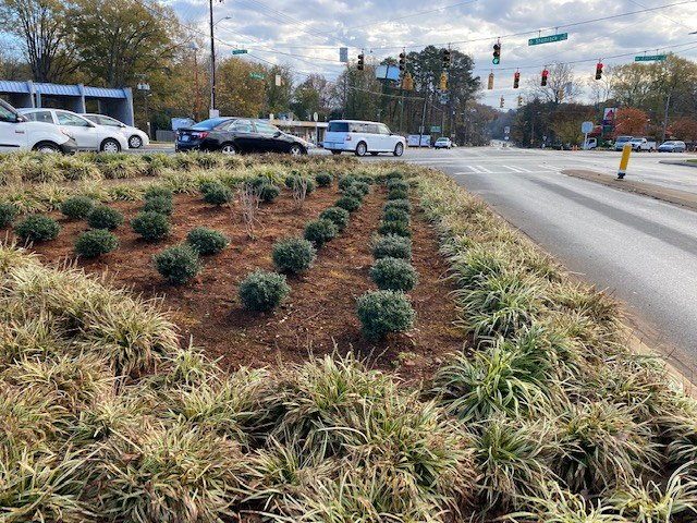 Commercial streetscape landscaping featuring coordinated shrub and ornamental grass installation.